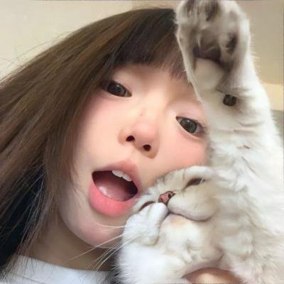 小猫熊历险记